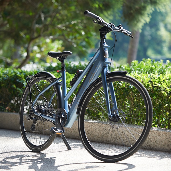 Mastering the 5 key points to easily choose an ebike - -